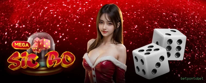 Apostas futebol ao vivo betpontobet - odds competitivas